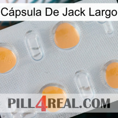 Cápsula De Jack Largo 24